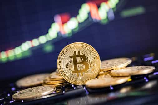 Bitwise survey: More financial advisors are eyeing crypto for their clients