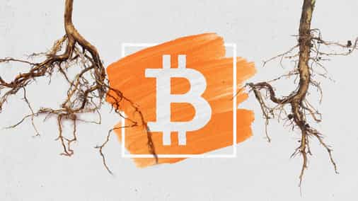 Bitcoin's Taproot/Schnorr upgrade proposal is 'nearly ready' as it moves through developer feedback phase