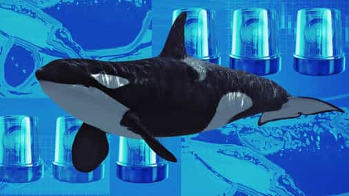 Early Bitcoin adopter moves 306 BTC worth $35 million after 12 years of dormancy