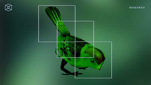Should we always feed the birds?