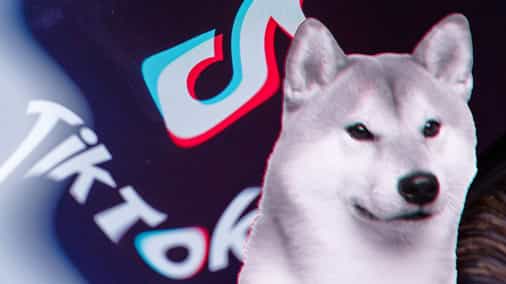 Reddit co-founder Alexis Ohanian joins bid to acquire TikTok, plans to move social app 'onchain'