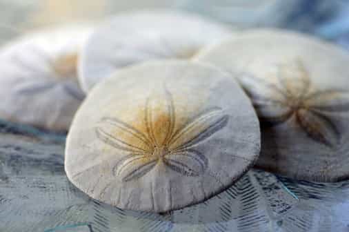 The Bahamas's central bank put its digital currency on its official balance sheet in April