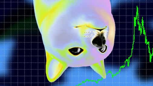 Dogecoin dives as Twitter dumps Shiba Inu for the blue bird