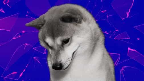 Vitalik Buterin donates more than $60M to charity after selling meme tokens including Shiba Inu