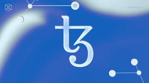Mapping out Tezos' ecosystem