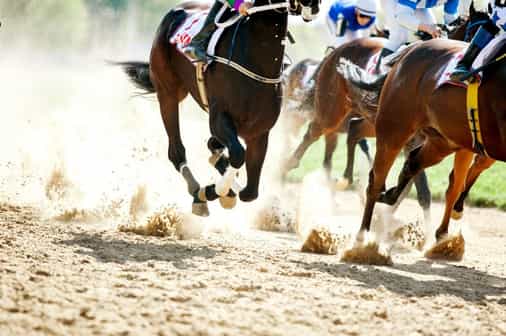 A startup that lets you race NFT horses has raised $20 million from a16z, TCG