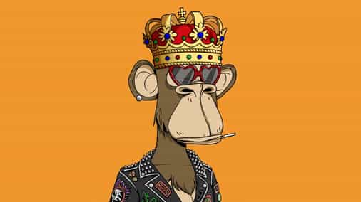 NFT project Bored Ape Yacht Club has donated $850,000 to an orangutan charity