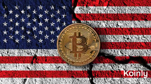 Last Minute Crypto Tax? Help is at Hand with Tax Tools you Need Now