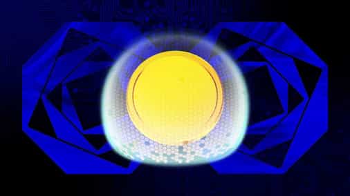 Crypto insurance firm Evertas raises $14 million from Polychain Capital: CoinDesk