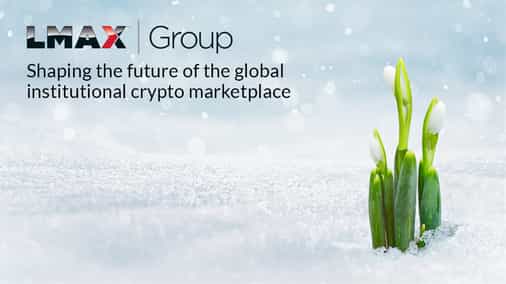 Maximizing opportunities in a crypto bear market