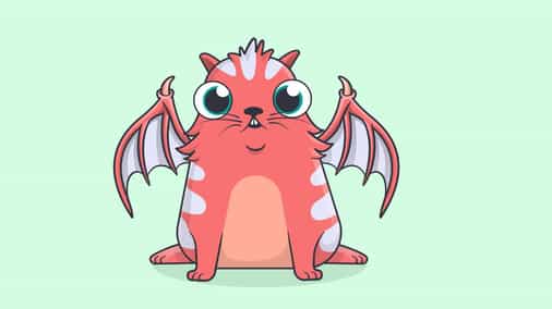 Dapper Labs, CryptoKitties co-founder signs with Hollywood agency WME: Exclusive