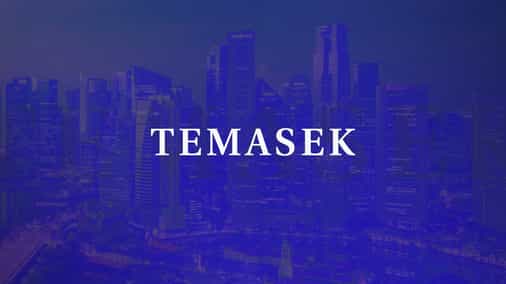 Temasek denies investing in Array as another crypto project issues confusing announcement