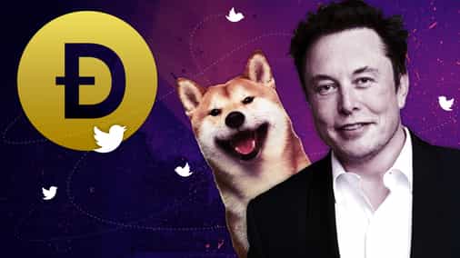 Elon Musk's Dogecoin hype draws attention to mysterious wallet that once held $24 billion