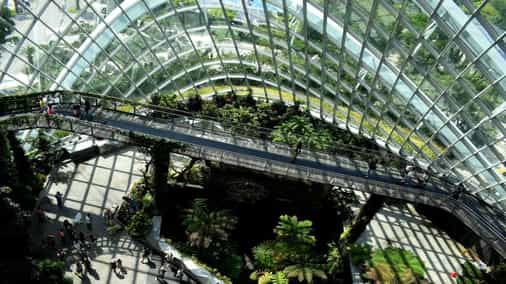 How Blockchain and Carbon Markets Can Unlock Capital to Accelerate Climate Action