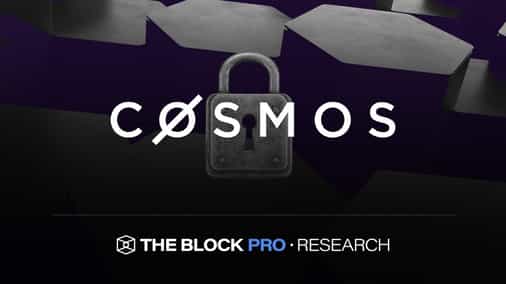 Varieties of Shared Security in the Cosmos Ecosystem