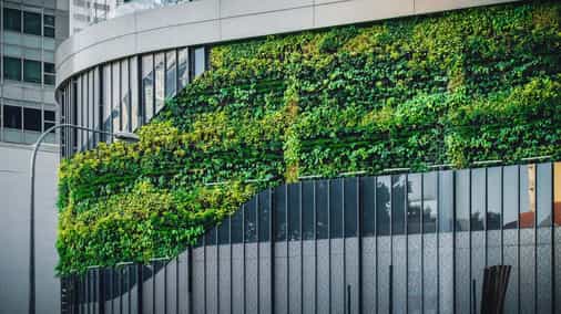 Tokenizing Real-World Assets: The Opportunity and Impact of Carbon Credits as Financial Tools