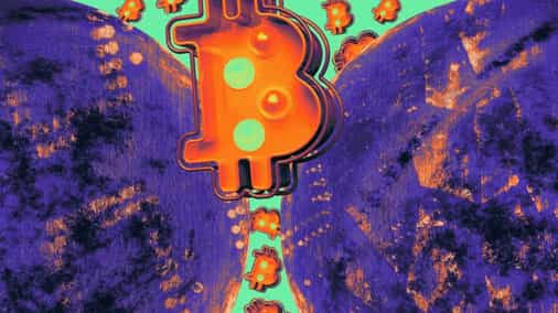 The Daily: BTC treasury companies having a weaker impact on price than ETFs, Tether sets sights on becoming the largest bitcoin miner, and more