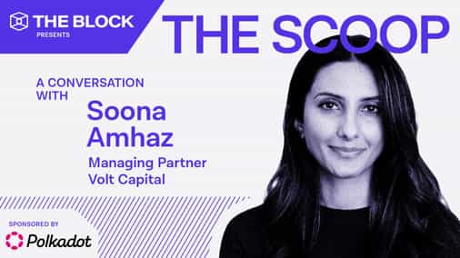 ‘Don’t forget about’ last cycle's hot investment categories, says Volt Capital's Soona Amhaz