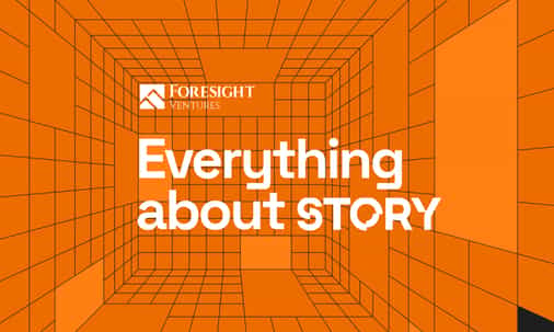 Everything about Story but you were afraid to ask
