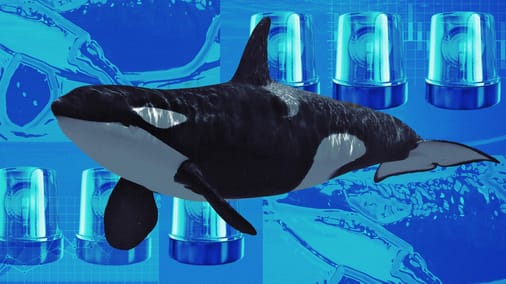 The Daily: Dormant Bitcoin wallets wake after 14 years to move billions of dollars in BTC, House GOP declares 'Crypto Week,' and more