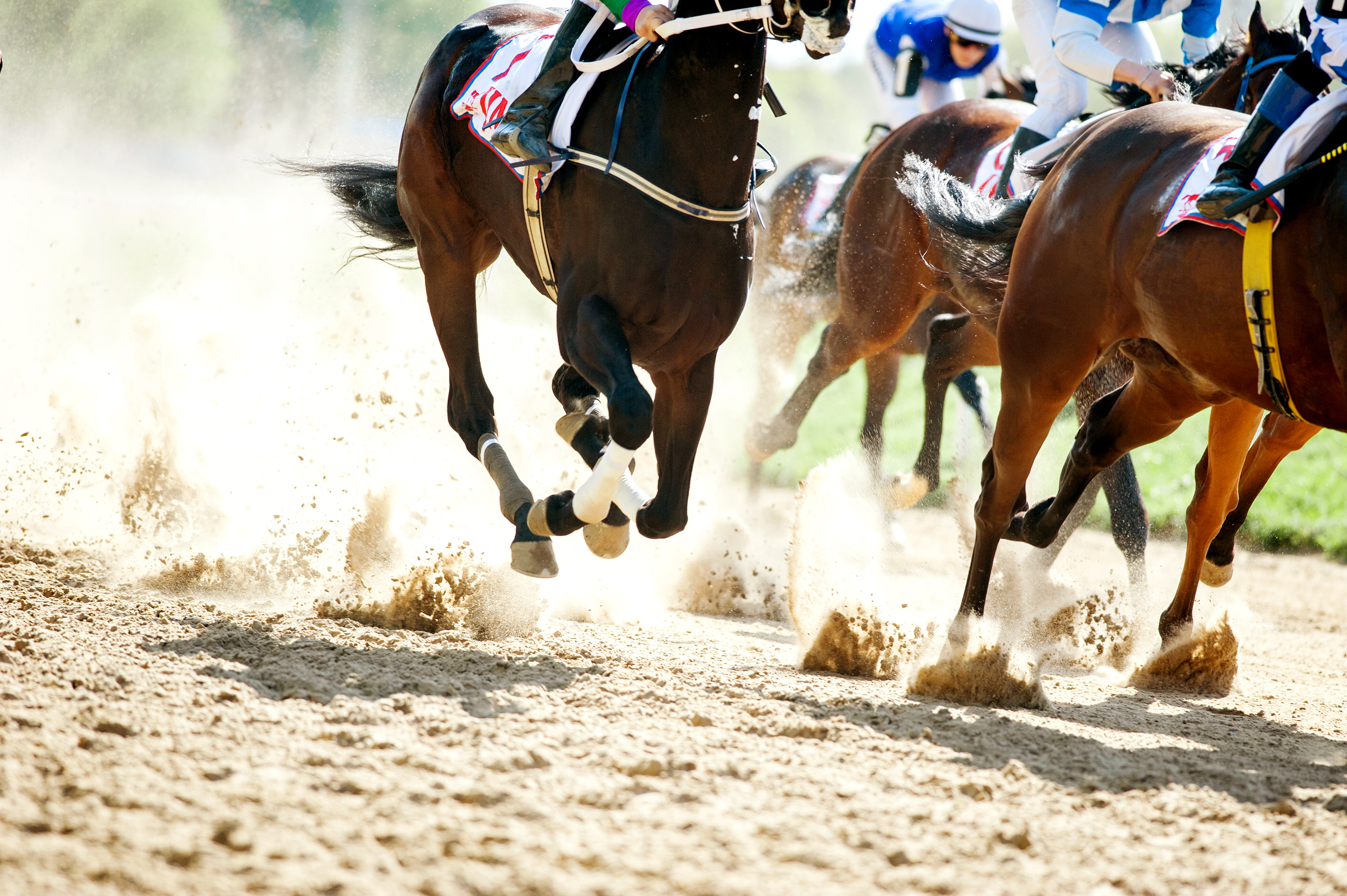 A startup that lets you race NFT horses has raised $20 million from a16z, TCG