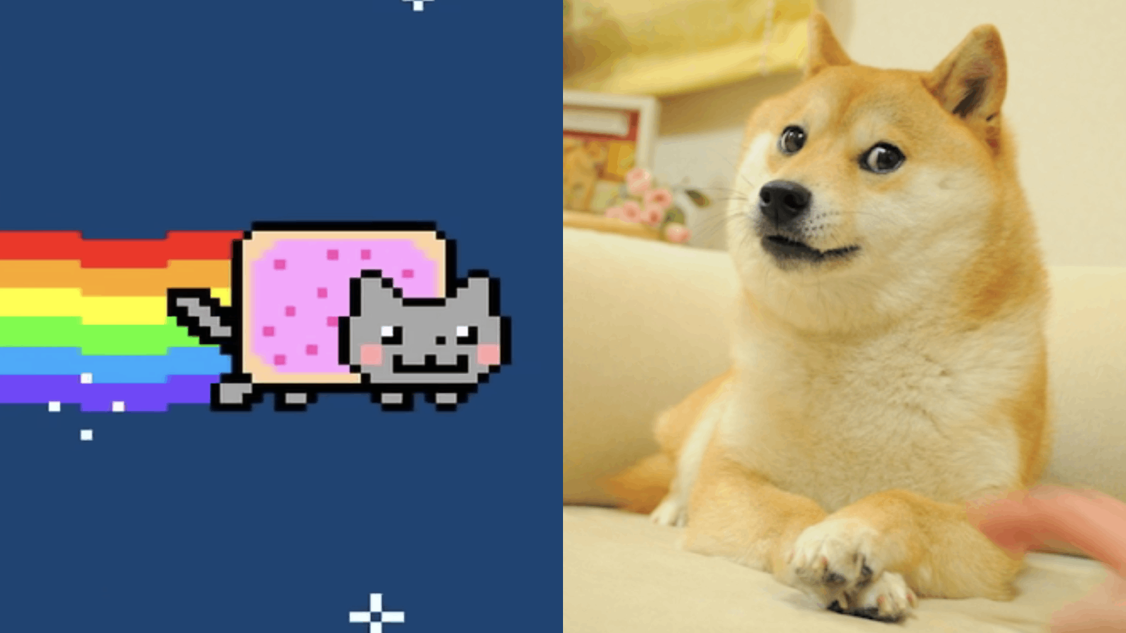 Nyan cats, fractionalized dogs and cartoon lobsters ...