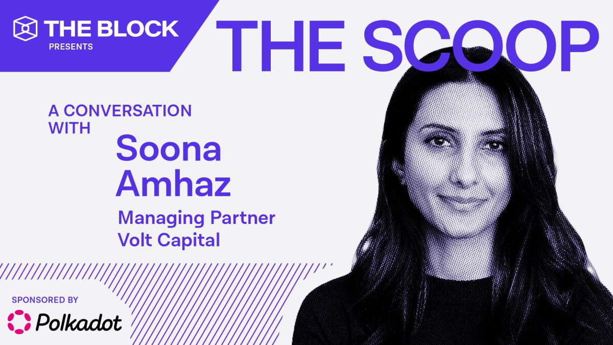 ‘Don’t forget about’ last cycle's hot investment categories, says Volt Capital's Soona Amhaz