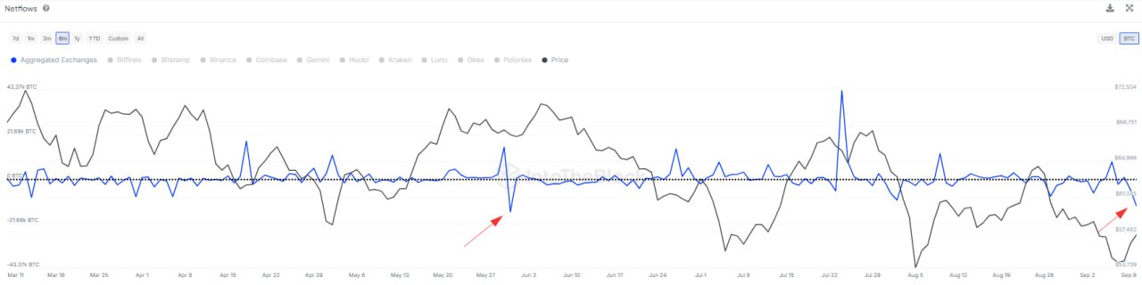 Bitcoin net outflow from exchanges. Image: IntoTheBlock.