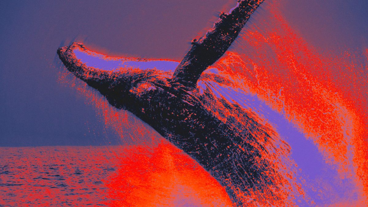 Bitcoin Whale Awakens: $85 Million BTC Moves After 13 Years of Dormancy!