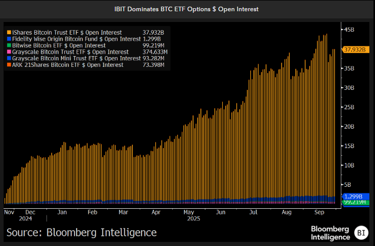 IBIT dominates BTC ETF options open interest. Image: Bloomberg.