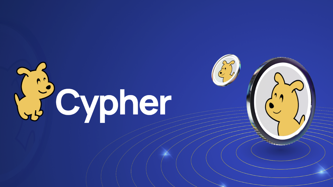 Y Combinator and Coinbase Venture Backed Cypher Protocol Unlocks On-Chain  Payments and Rewards to the Mainstream - The Block | The Block