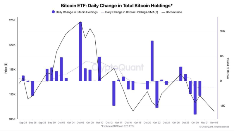 Bitcoin ETF data via Crypto Quant 11/4/25