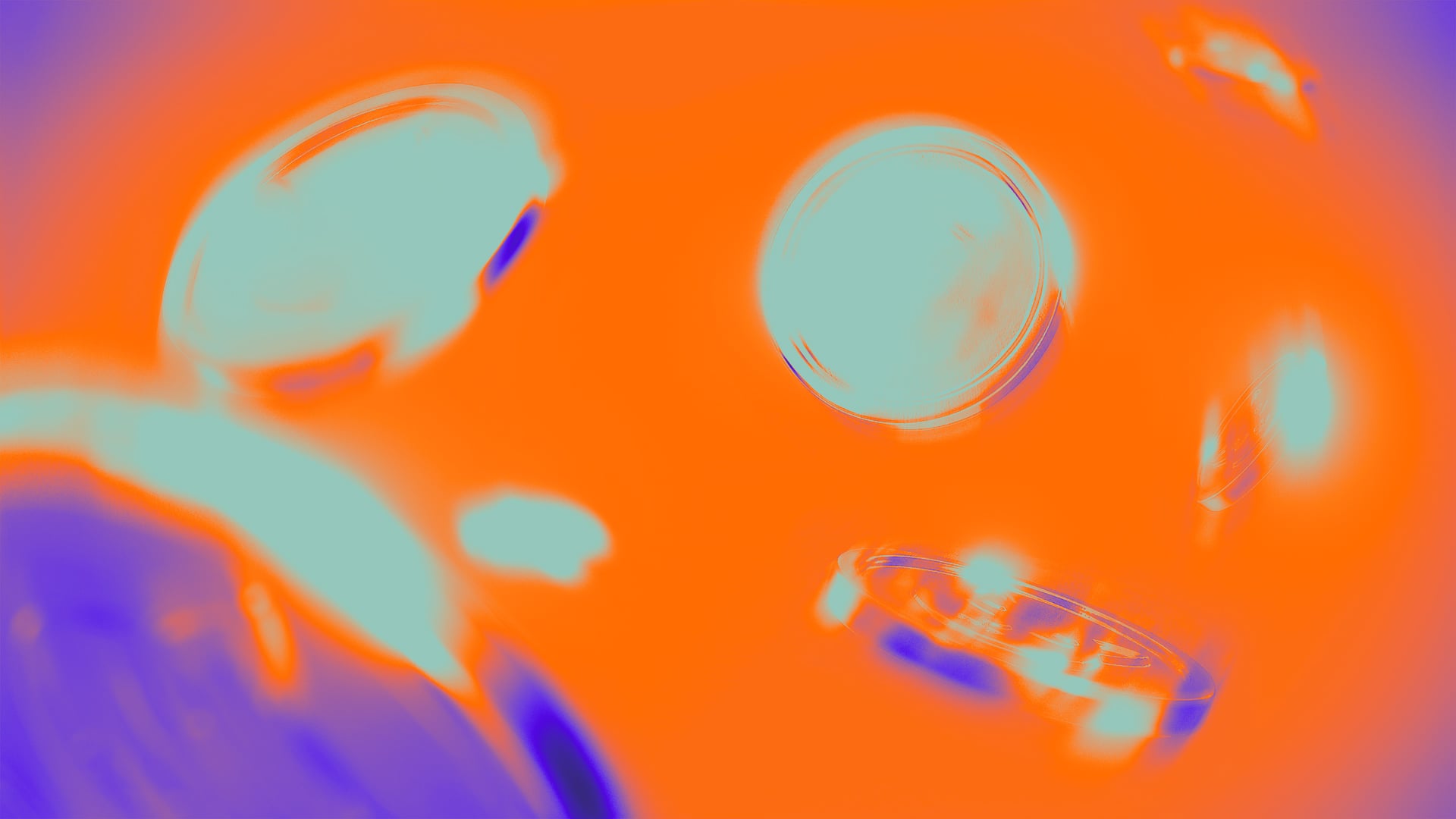 News Thumbnail