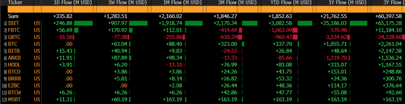 Bitcoin ETF ‘flows turned positive for the year’: BNY’s global head of ETFs 1 bloomberg btc etf